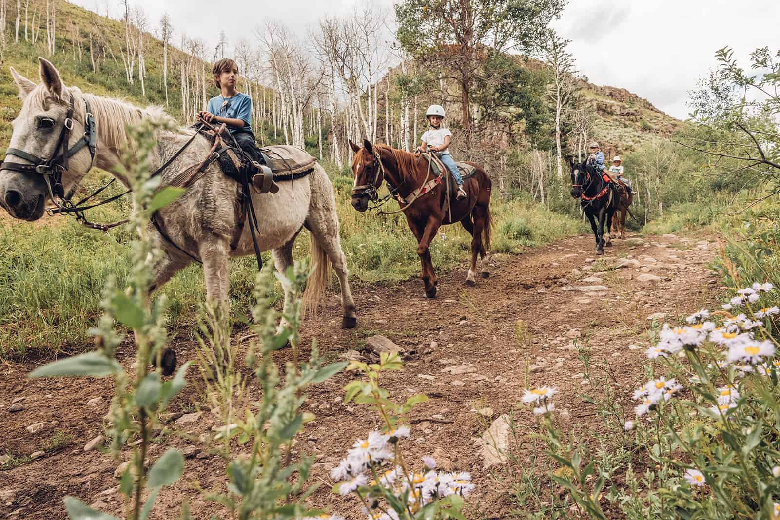 A group of people riding horses on a trail in the mountains.