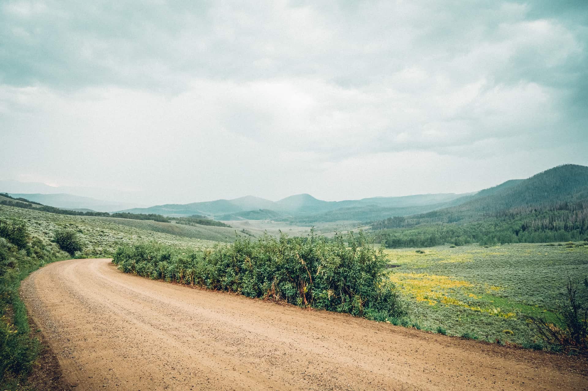 A dirt road in the middle of a field with mountains in the background.