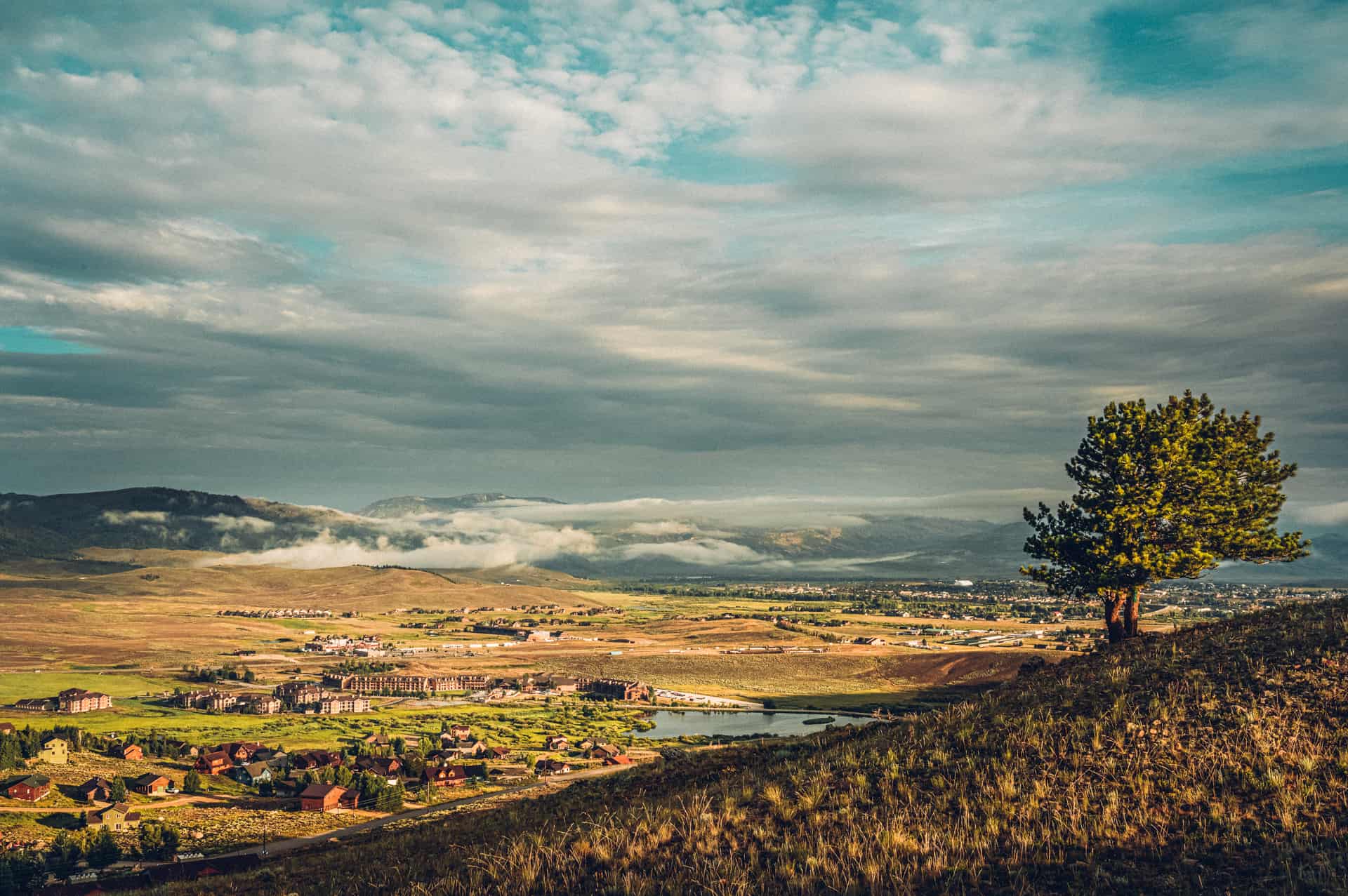 A landscape with a tree and a river.