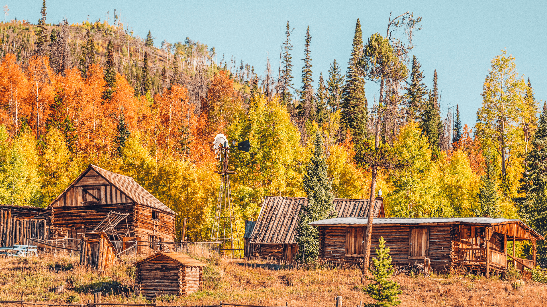 A group of wooden cabins on a hillside. All the trees are brilliant fall hues of orange, red and yellow under a blue sky