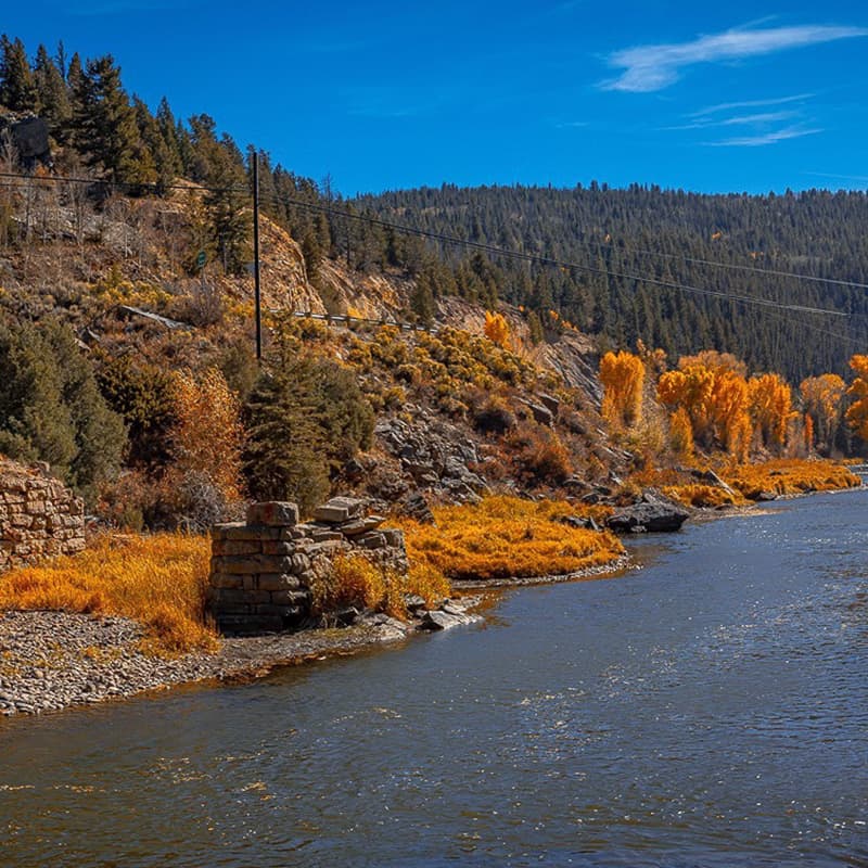 A river with trees in the background.