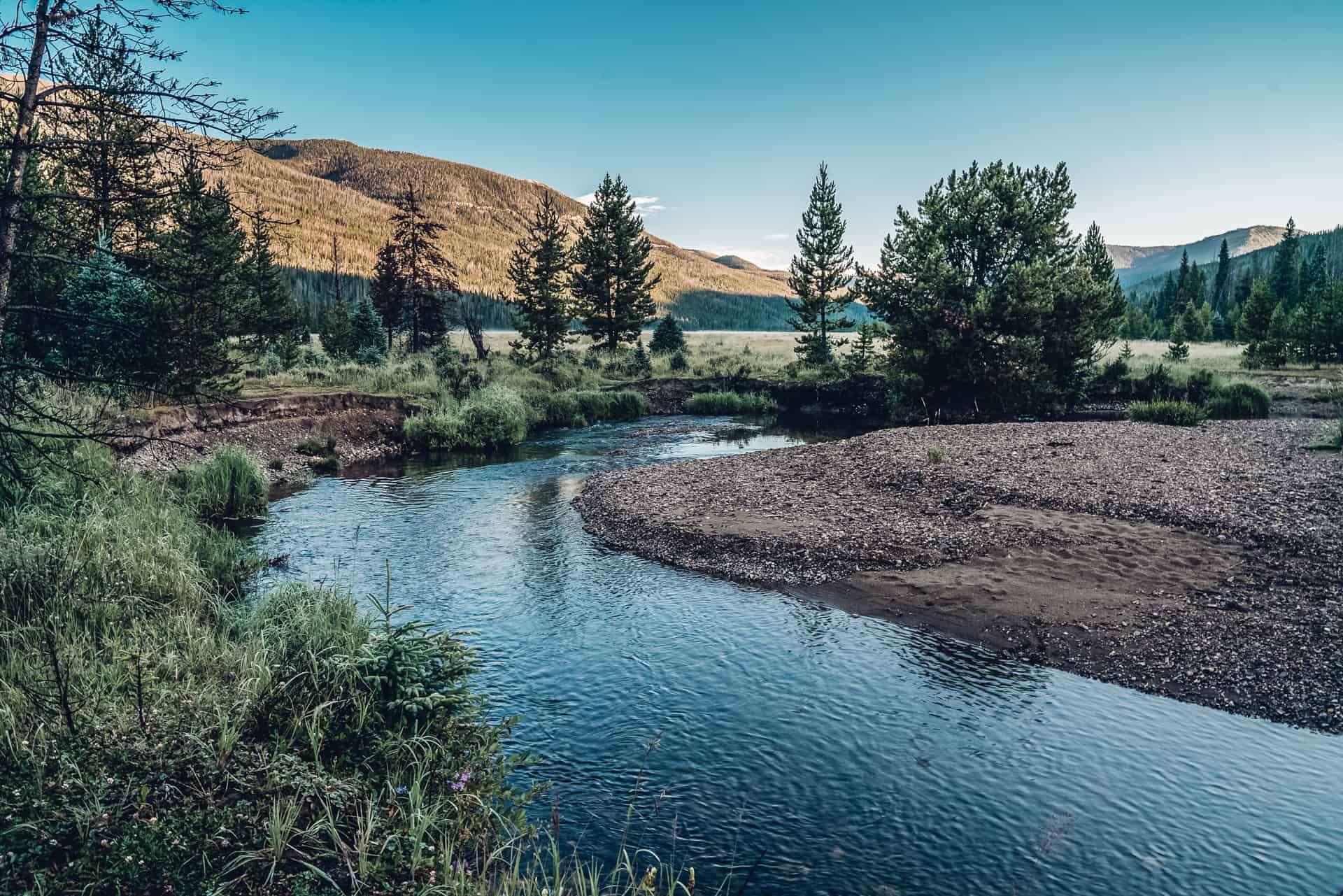 A river in the middle of a field with mountains in the background.