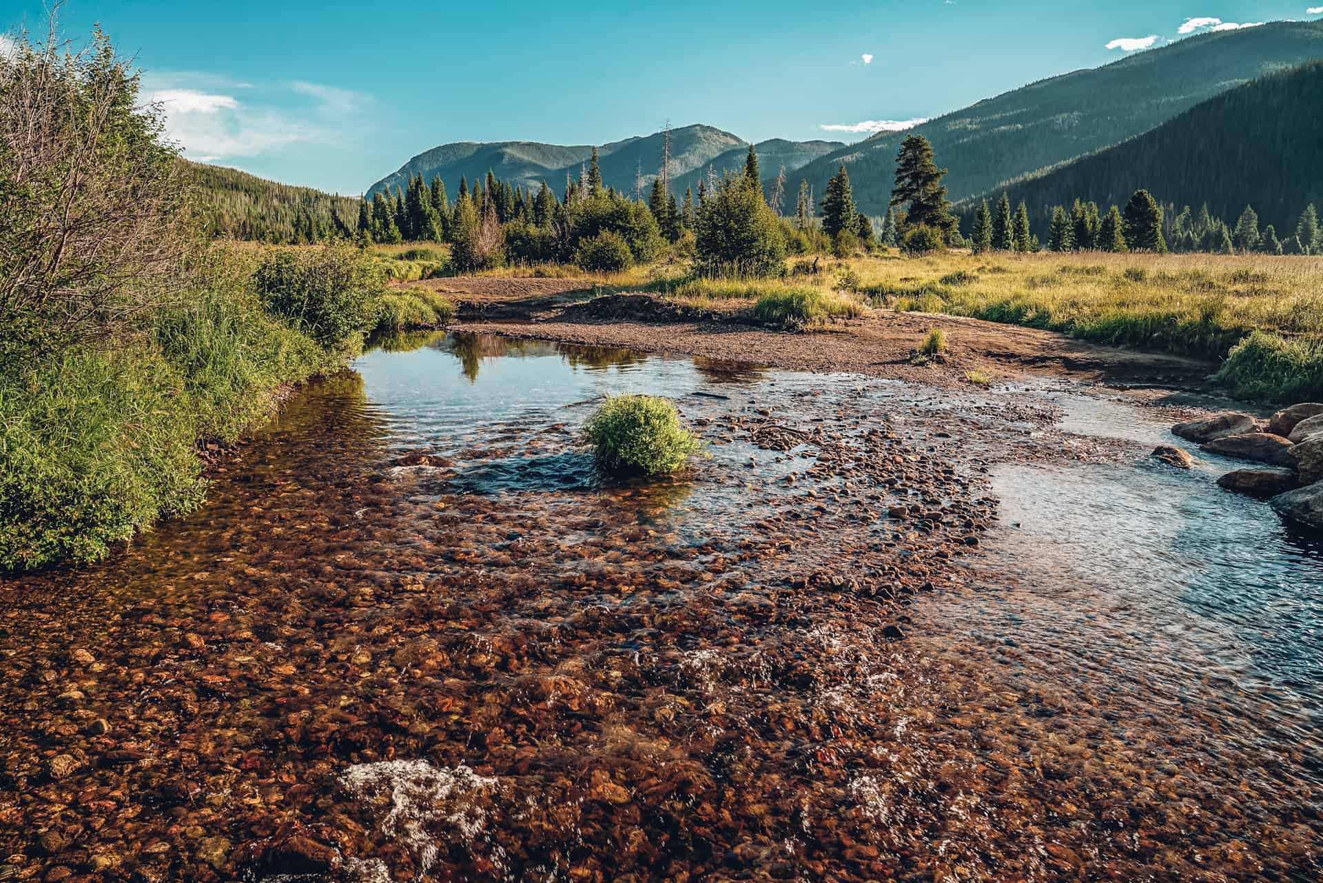 A stream in the middle of a grassy meadow.