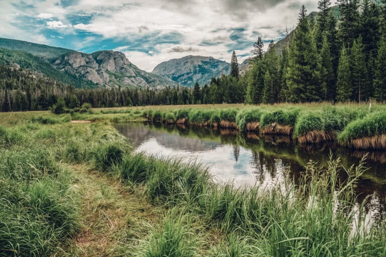 A river surrounded by tall grass and mountains.