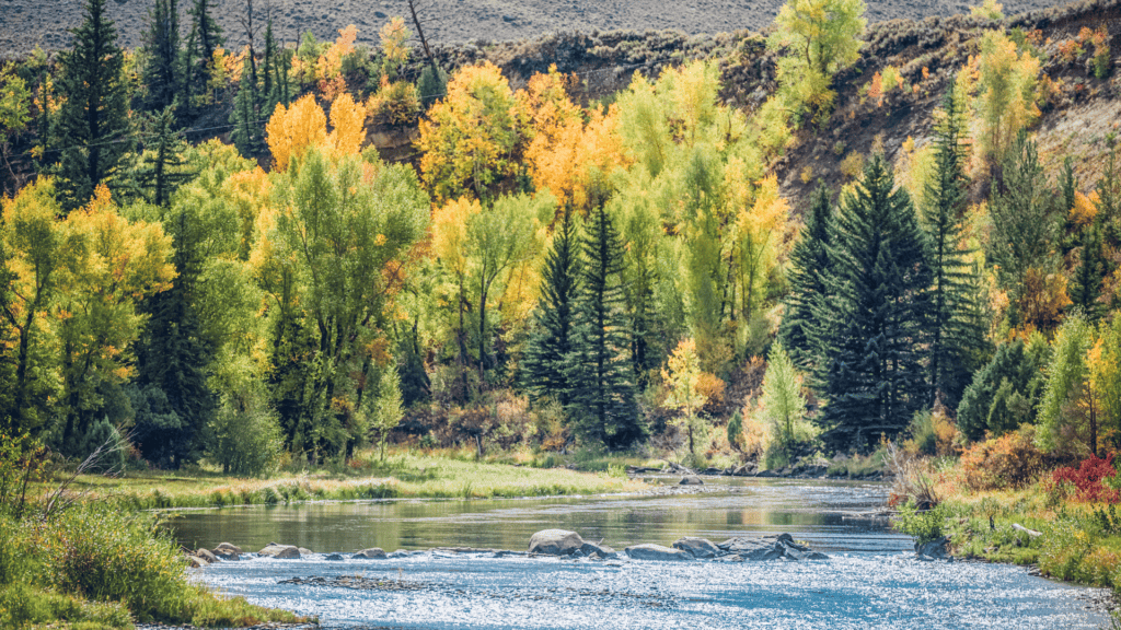 A river surrounded by trees in the fall.