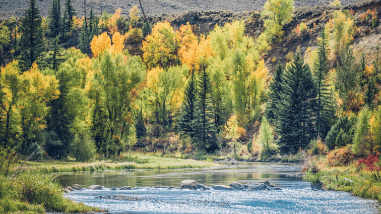 A scenic river flowing through Rocky Mountain National Park, surrounded by vibrant fall foliage and lush evergreen trees.