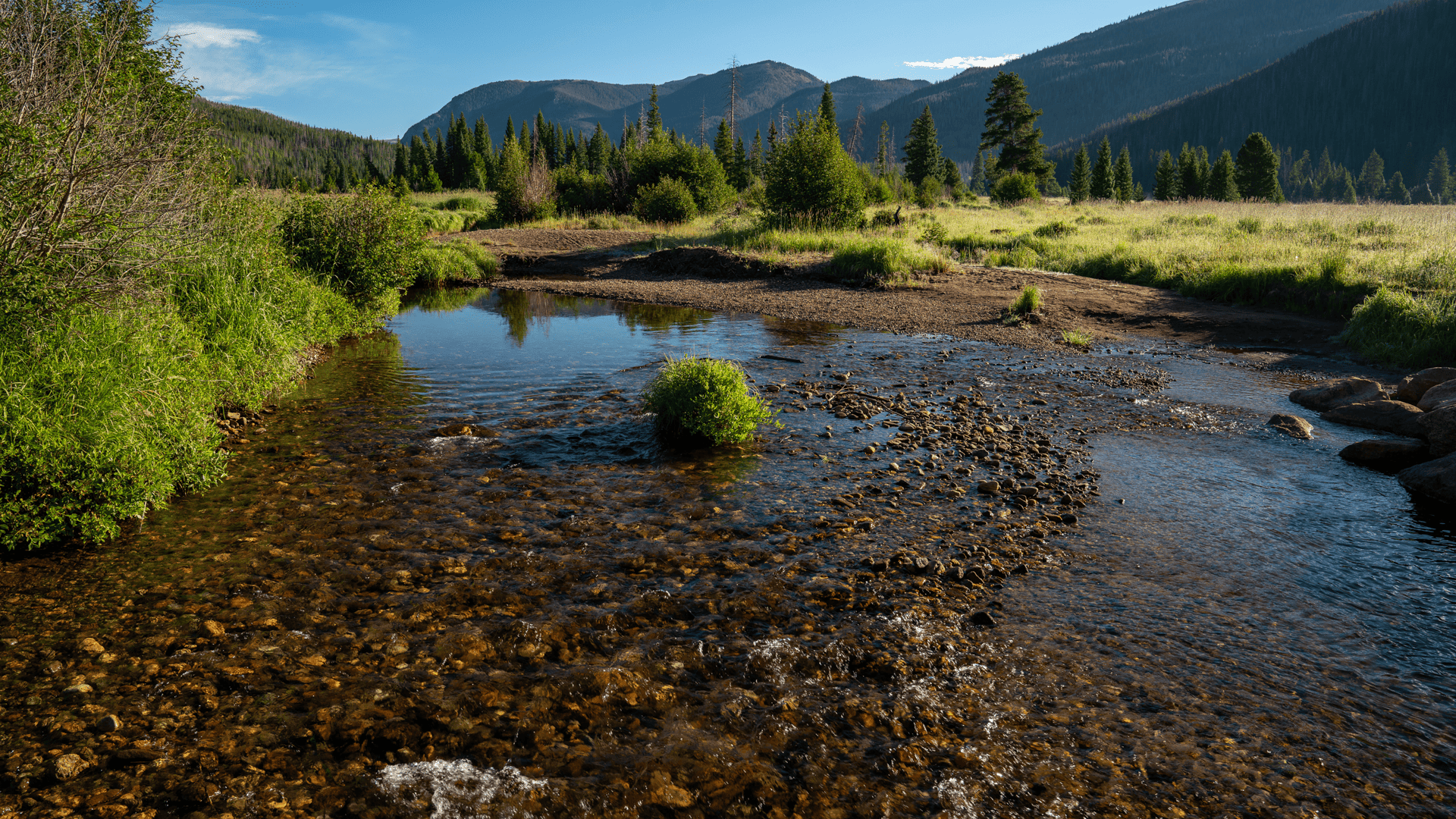 A small stream in the middle of a grassy meadow.