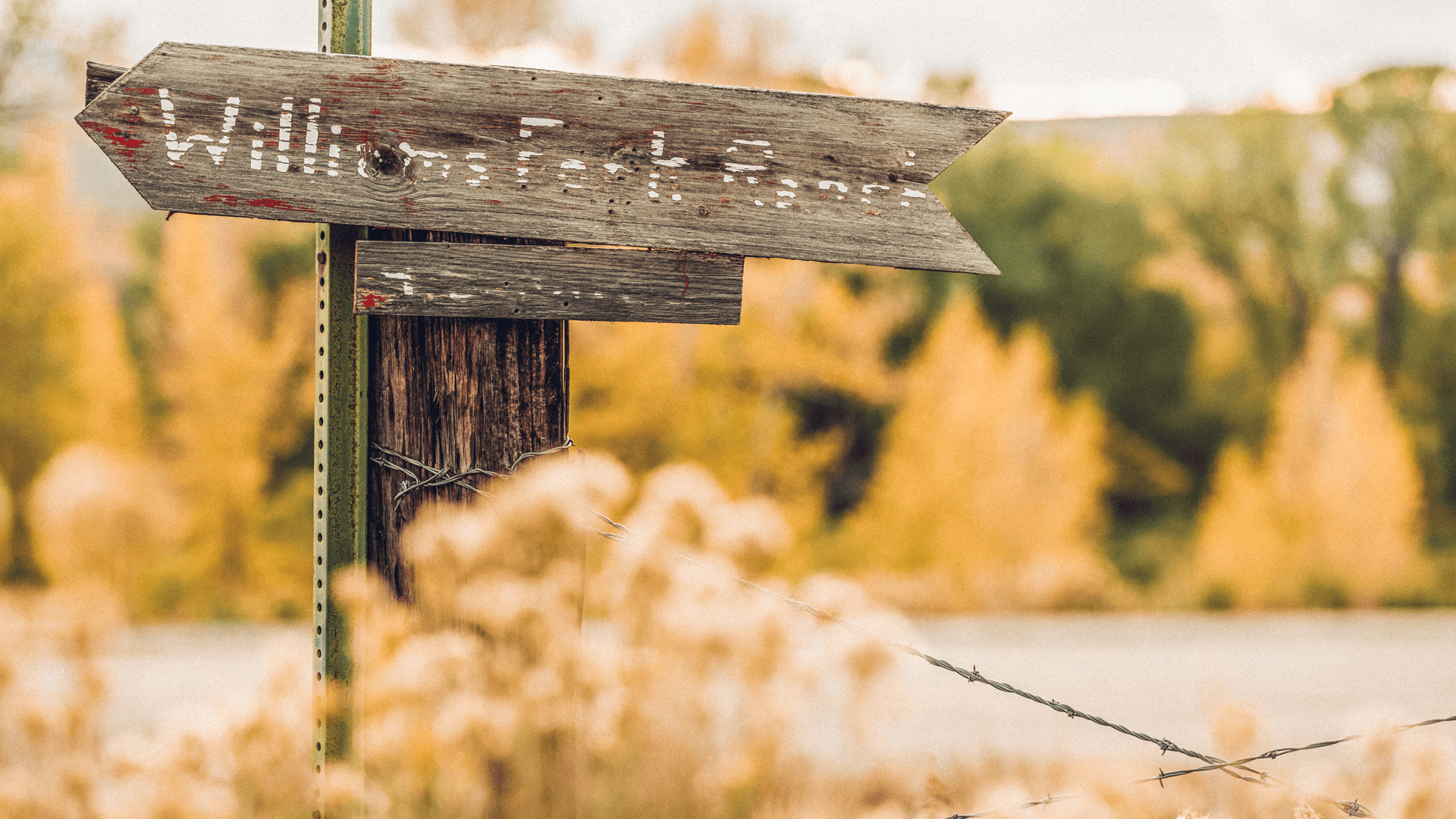 A wooden sign with arrows on it.