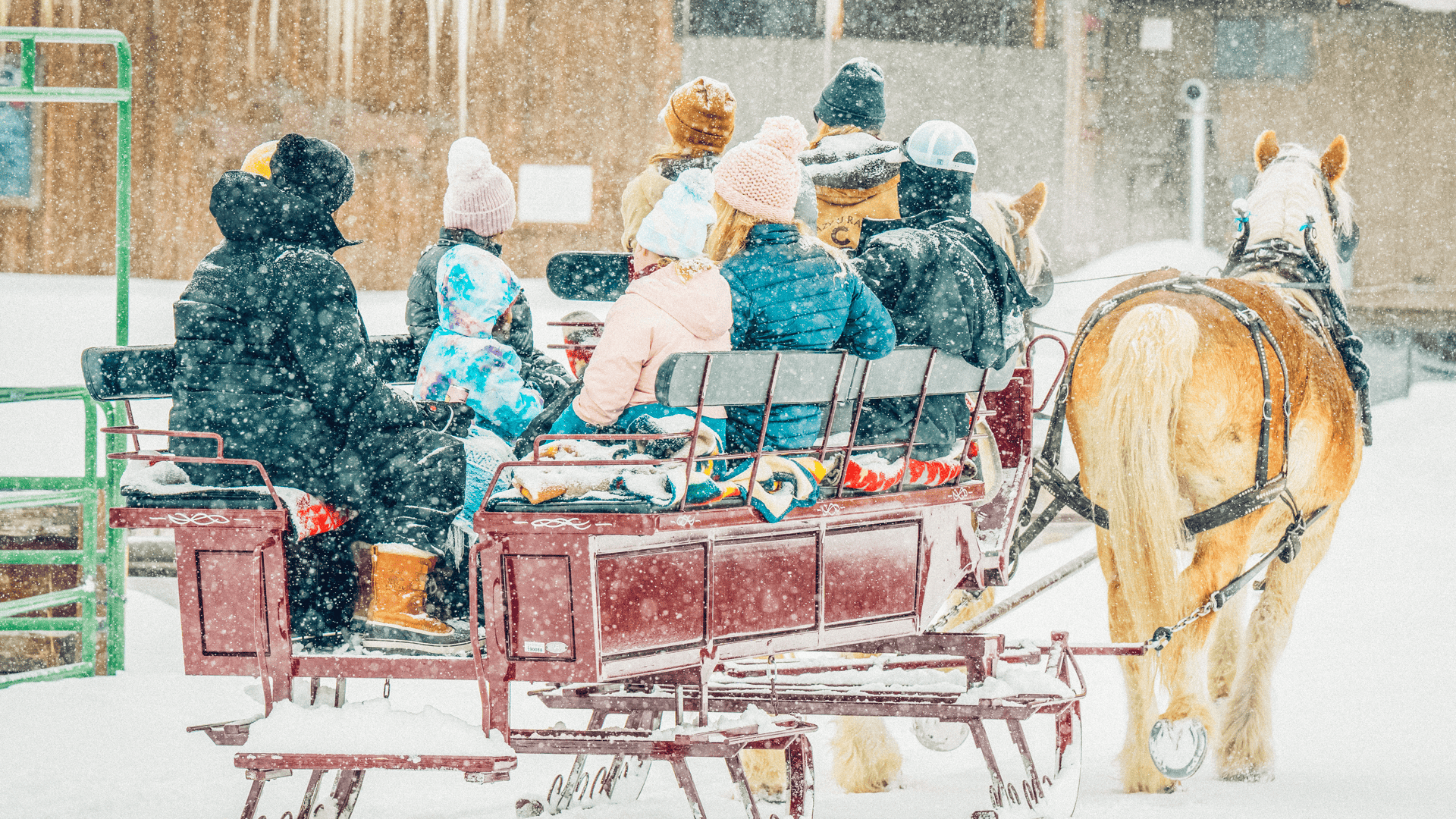 A horse pulling a sleigh at C Lazy U Ranch in Grand County.