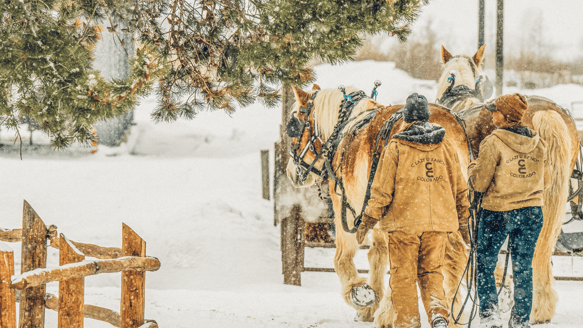 A group of people walking horses in the snow.