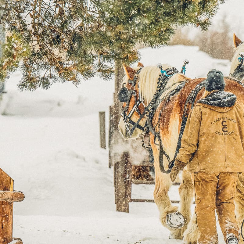 Two horses pulling a wagon in the snow.