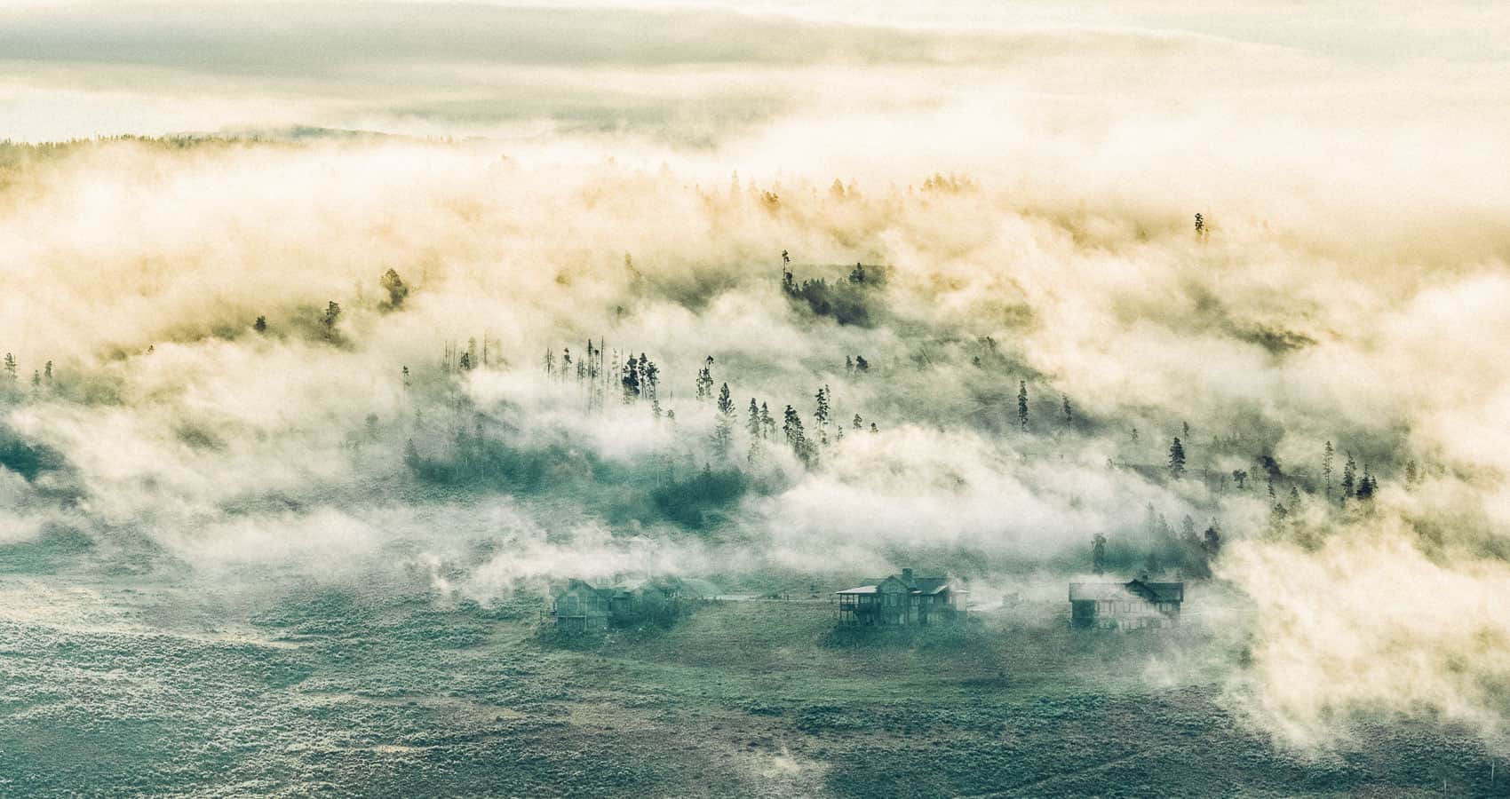 An aerial view of a forest covered in fog.