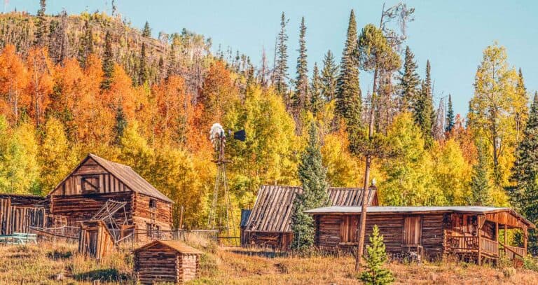 A group of wooden cabins surrounded by trees in colorado.