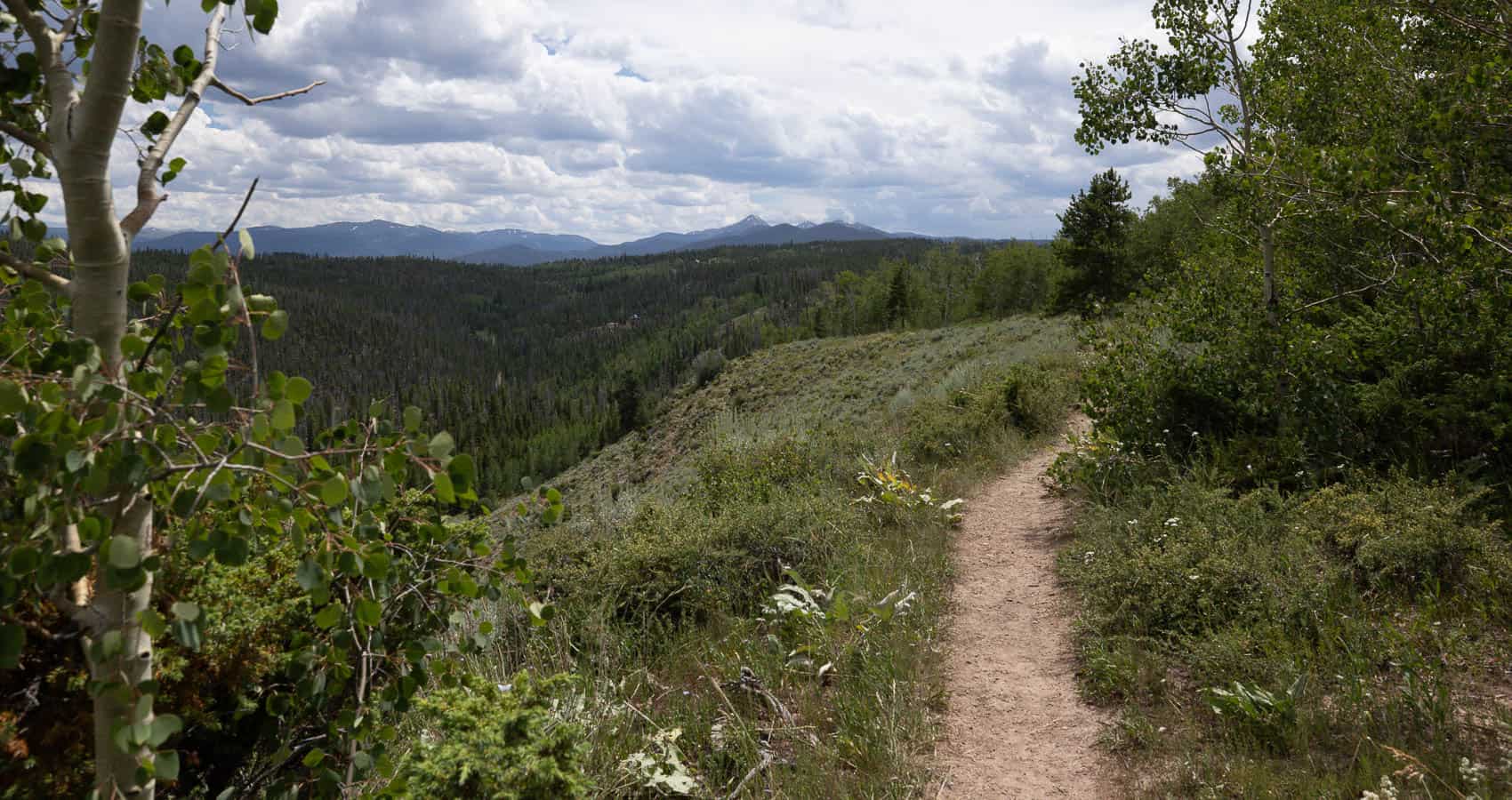 A dirt trail in the mountains.