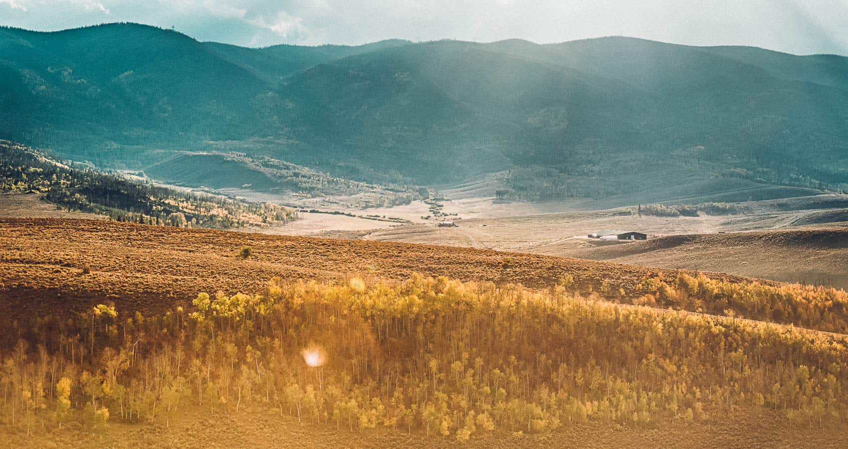 The sun is shining on a grassy field.