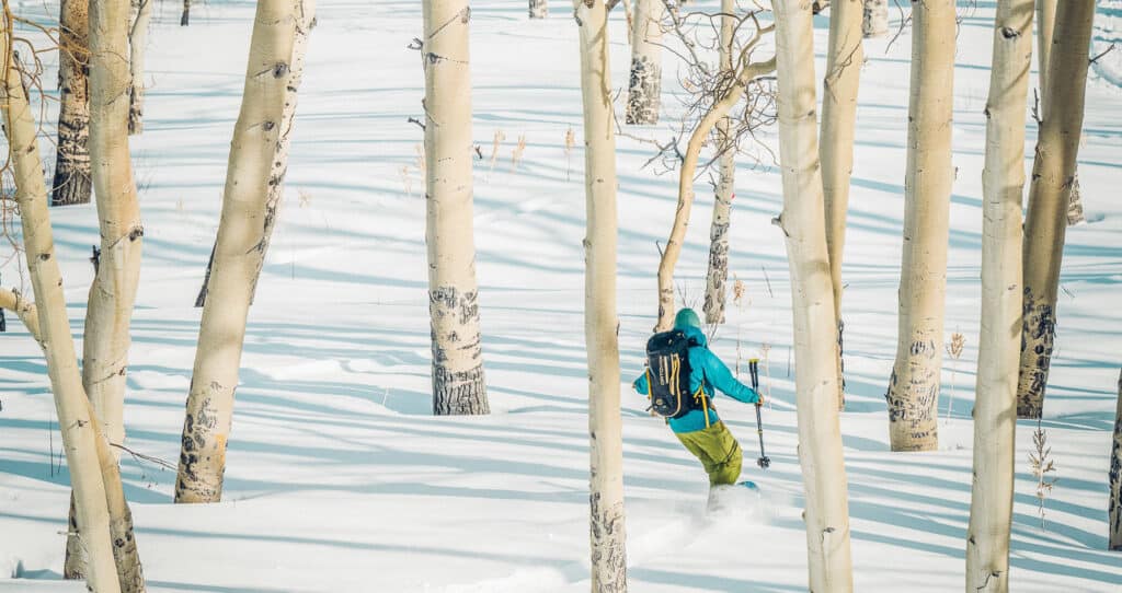 A person skiing through a forest of aspen trees.