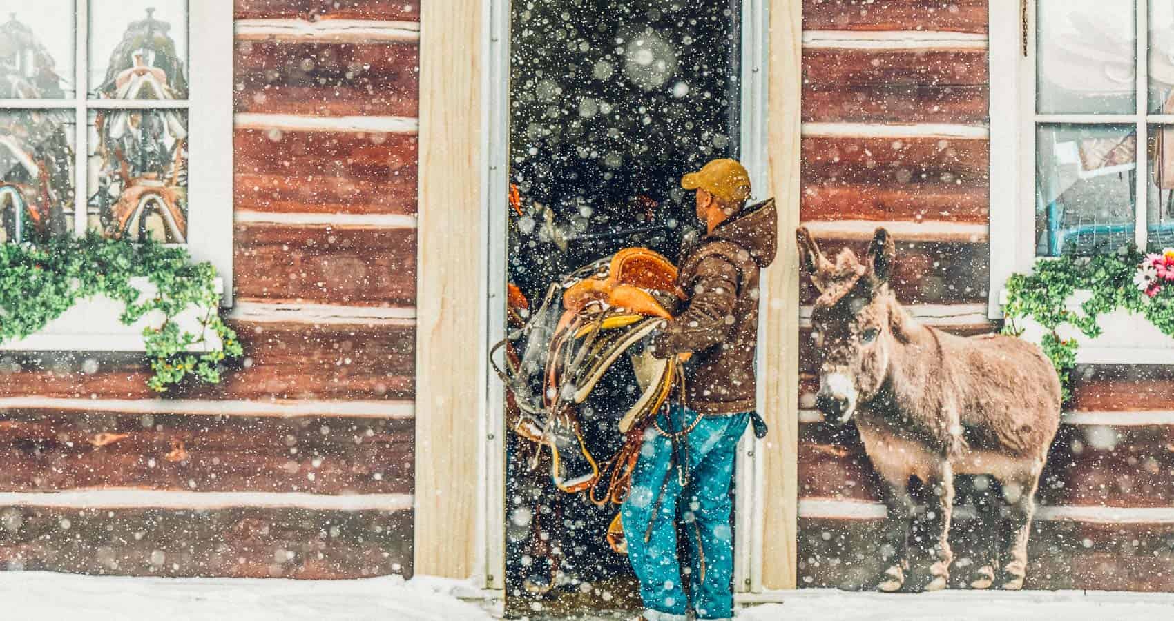 A man is standing in front of a building with a donkey in the snow.