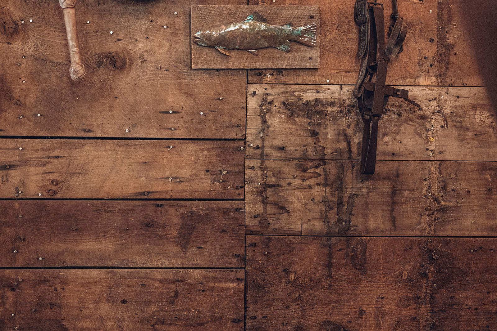 A picture of a fish hanging on a wall.