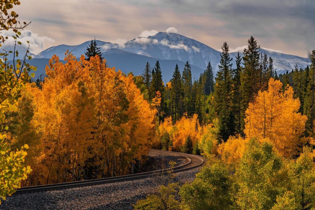 A train tracks surrounded by trees with mountains in the background.