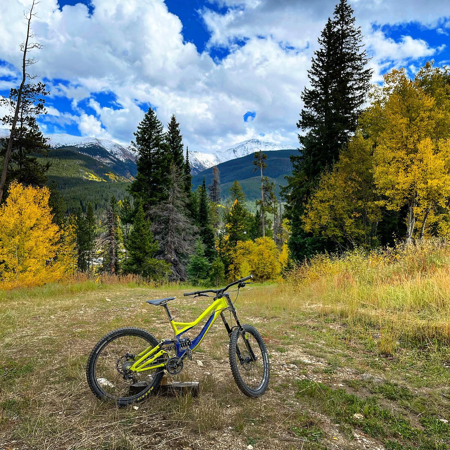 A mountain bike parked in a grassy field.