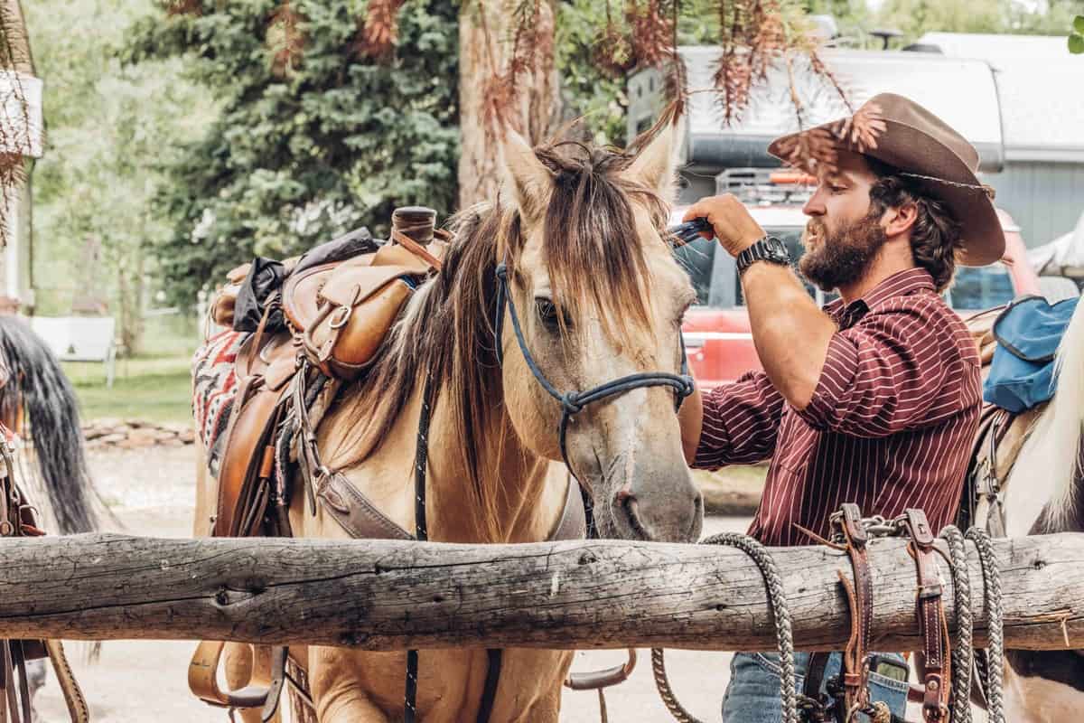 A man in a cowboy hat is petting a horse.