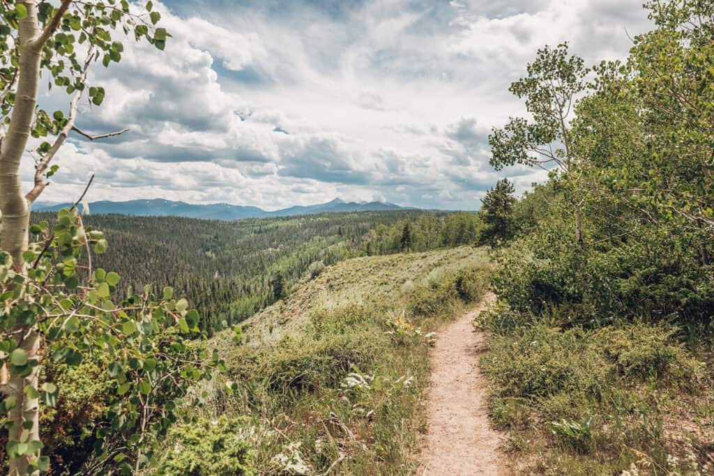 A scenic view of a mountain trail with lush greenery and a cloudy sky.