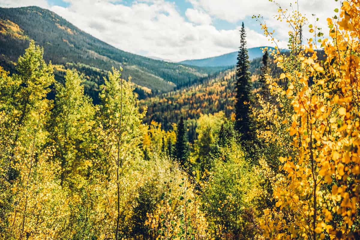 A vibrant autumn landscape in Fraser, Colorado featuring hills covered with a mix of green and yellow foliage under a partly cloudy sky.