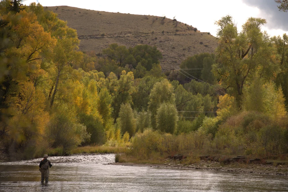 A person is standing in a river surrounded by trees with autumn foliage, under a cloudy sky, and a hill is visible in the background.