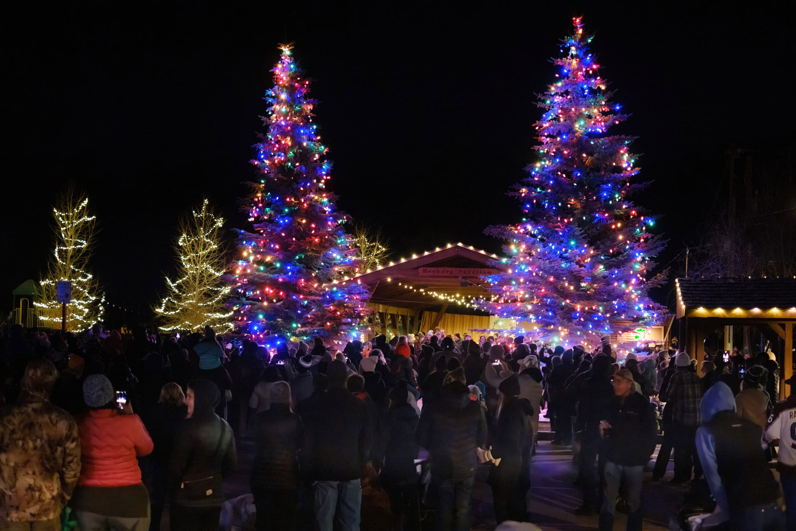 A crowd gathers around two large, colorfully lit Christmas trees at night, with additional holiday lights in the background.