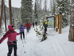 A group of people on cross-country skis gather around a trail map in a snowy forest.